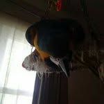 Christopher Frederick - @christopher.frederick.731 - Instagram
