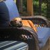 Chris Fredette - Facebook