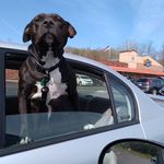 Christopher Fredrick - @christopher.fredrick.583 - Instagram