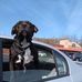 Christopher Fredrick - Facebook