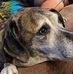 Christopher Friedman - Facebook