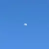 ChristopherFriedman3HNr - @christopherfriedm22 - TikTok