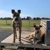 Chris Friend - Facebook