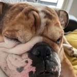 Christopher Friend - @chrisf961 - Instagram