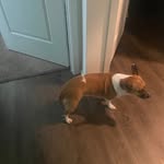 Christopher Friend - @christopherfriend21 - Instagram