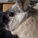 Christopher Frink - Facebook