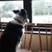 Chris Fryer - Facebook
