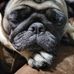 Christopher Fudge - Facebook