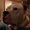 christopherfugate91 - @christopherfugate91 - TikTok