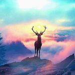 Christopher Fulp - @christopher.fulp.1 - Instagram