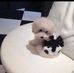 Christopher Fung - Facebook