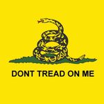 Dont Tread On Me - @christopher.gadsden.is.alive - Instagram
