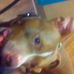 Christopher Garza - Facebook