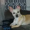 Christopher Garza - @christopher.galar45 - TikTok