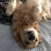 Christopher Gerrard - Facebook