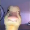 Christopher Giannett - @makiiisontiktok - TikTok