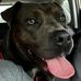 Christopher Gipson - Facebook