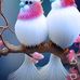 Christopher Gonzaga - Facebook