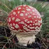 christopher.goot - @christopher.goot - TikTok