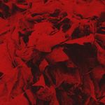 Christopher Gorton - @vinyl_haven - Instagram