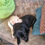 Chris Gosling - @goslingchristopher - Instagram