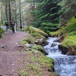 Christopher Grantham - @sirhc_mahtnarg - Instagram