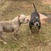 Christopher Grantham - Facebook