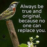 Christopher Greenwell - @christopher_greenwell - Instagram