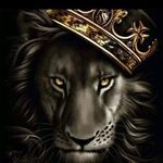 Christopher Griffith - @jahdon_daddylion_ - Instagram