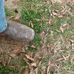 Christopher Gunter - Facebook