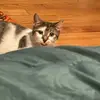 Christopher Agurre - @christopher.agurr - TikTok