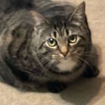 Christopher Hackworth - @c_hackworth19 - Instagram