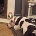 Chris Haigh - Facebook