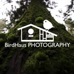 Christopher Hamm - @birdhausphotography - Instagram