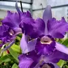 Christopher Harry - @christopher.harry6 - TikTok