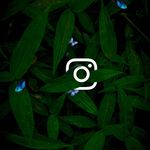 CHRISTOPHER... HARRY - @instant__clicks - Instagram