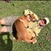 Christopher harry - Facebook