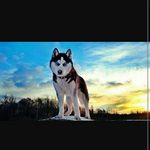 christopher hartmann - @christopher__hartmann - Instagram