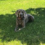Christopher Hartmann - @harti1808 - Instagram
