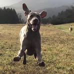 Christopher Hartmann - Facebook