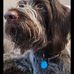 Chris Hassell - Facebook