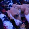 Christopher Haugk - @christopher.haugk - TikTok