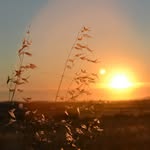 Christopher Hebert - @christopherhebert28 - Instagram