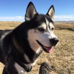 Christopher Heim - @sir_fog_dog - Instagram