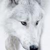 Christopher Held - @christopher.held - TikTok