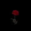 Christopher Helm - @christopherhelm8 - TikTok
