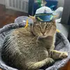 christopherhelwig144 - @chelwiggle - TikTok