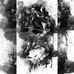 Christopher Hesse - Facebook