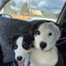 Chris Hiatt - Facebook