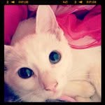 Christopher Hiatt - @nanweeklydav - Instagram